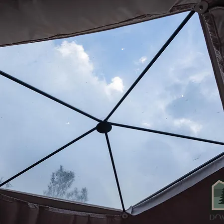 Dome In Nature * Larnaka