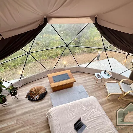 Luxury tent Dome In Nature