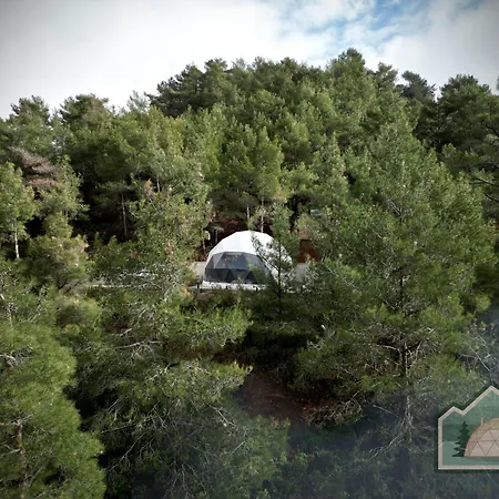 Dome In Nature