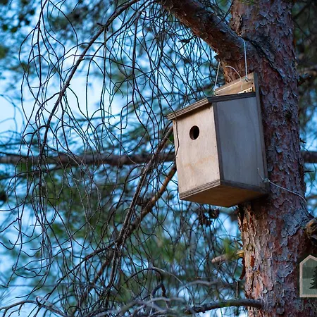 Dome In Nature * לרנקה
