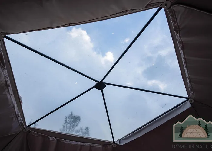 Dome In Nature * Larnaca