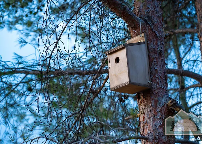 Dome In Nature * Larnaca